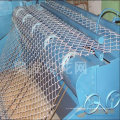 Chain Link Fence Fabric/Fence for Playground/Chain Link Fence Gate